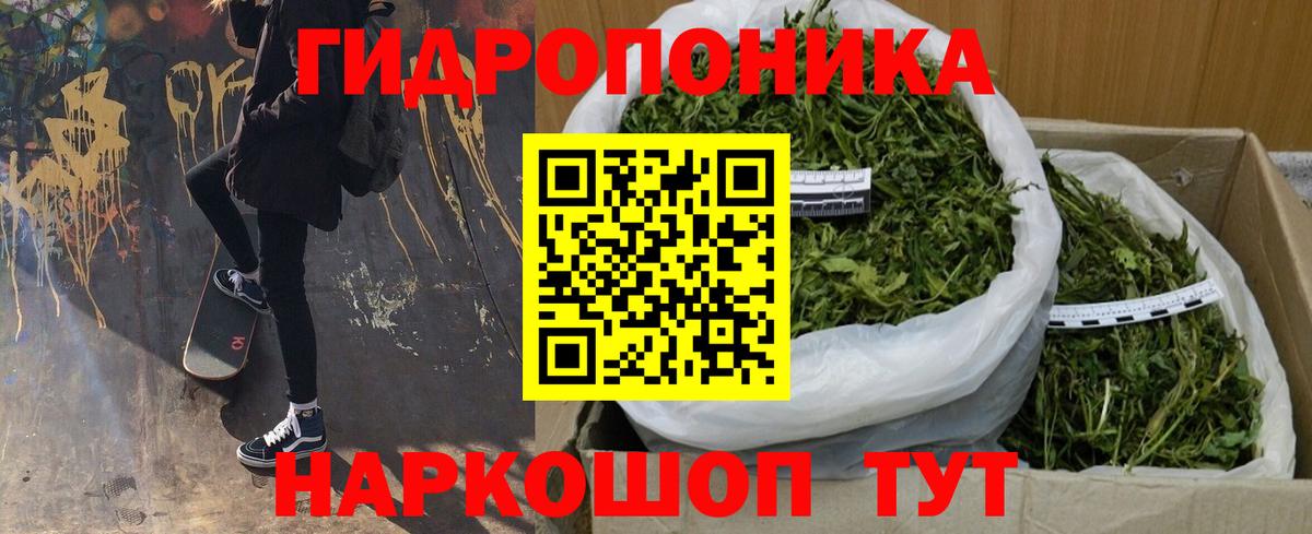 Ачхой-Мартан  Конопля тримм  Вход с VPN  Бошки Шишки тримм 